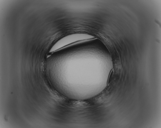 X0000091490379200709131835
