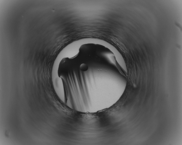 X0000091490380200709131835