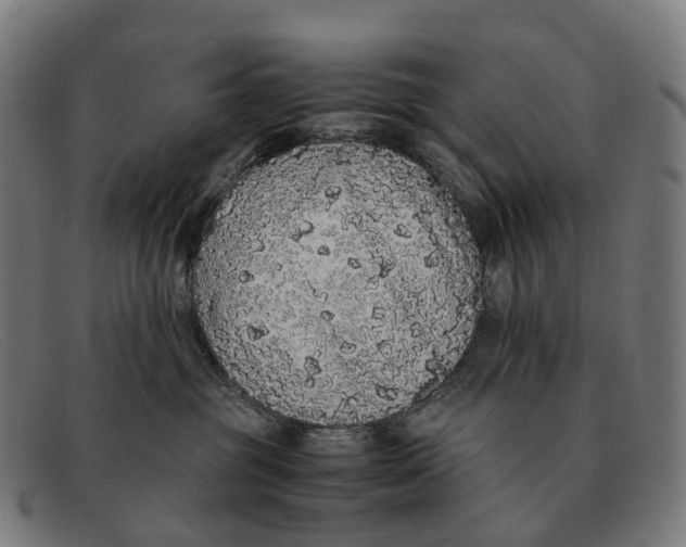 X0000091490381200709131835