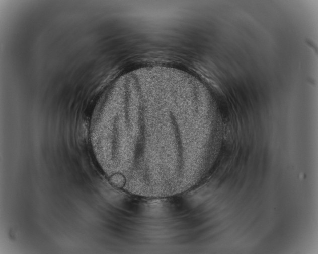 X0000091490382200709131835