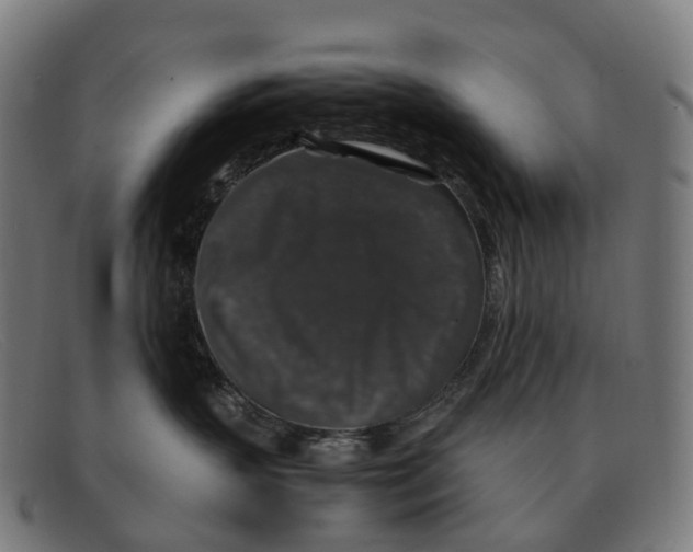 X0000091490383200709131835