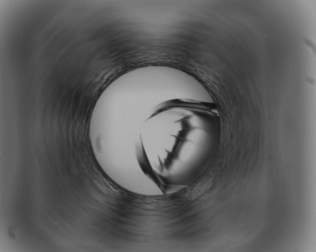 X0000091490384200709131835