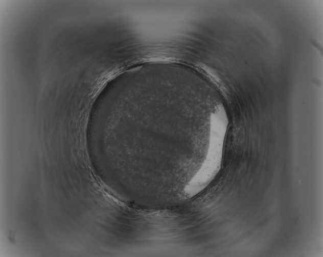X0000091490385200709131834