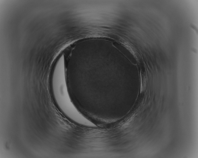 X0000091490387200709131834