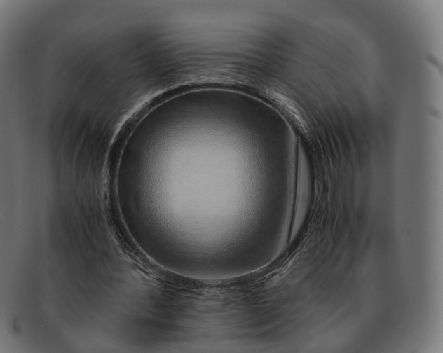 X0000091490388200709131834