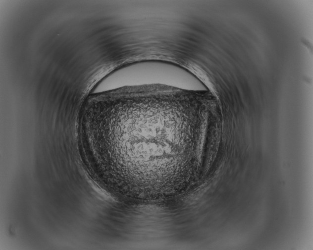 X0000091490389200709131834