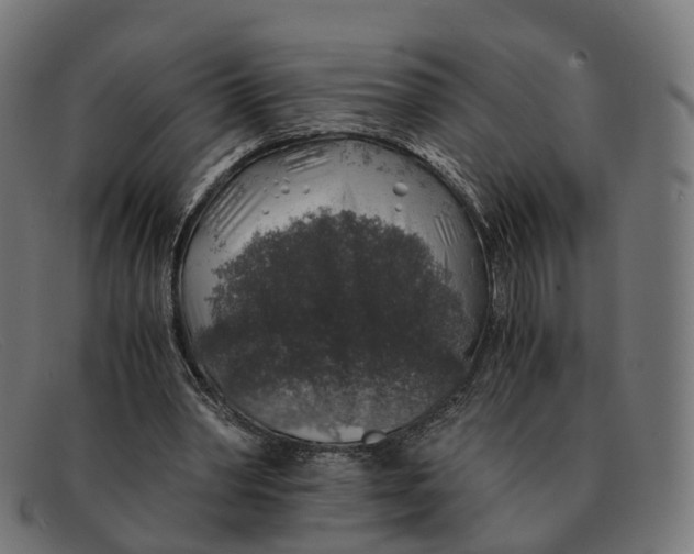 X0000091490390200709131834