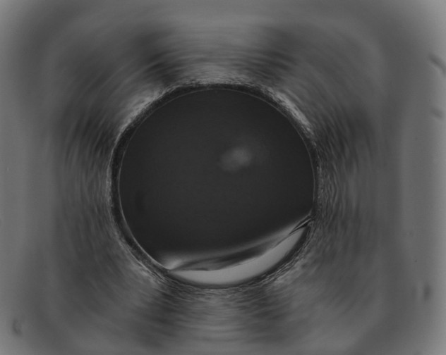 X0000091490391200709131834