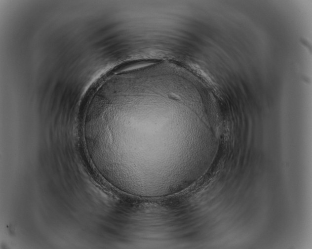 X0000091490392200709131834
