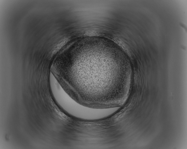 X0000091490393200709131834