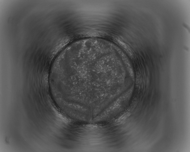 X0000091490394200709131834