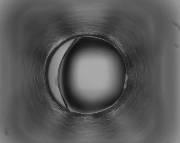 X0000091490395200709131834
