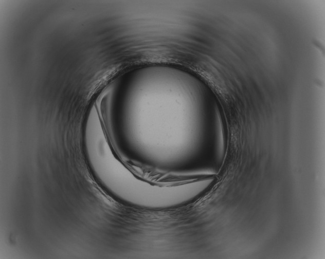 X0000091490397200709131834