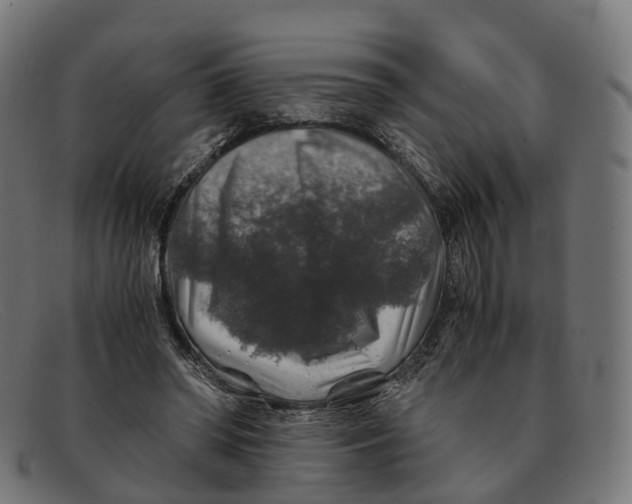 X0000091490398200709131834
