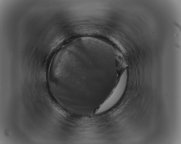 X0000091490399200709131834