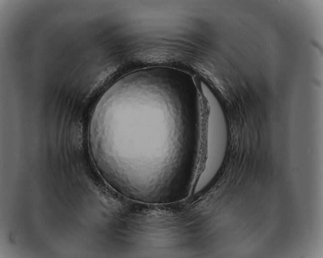 X0000091490400200709131834