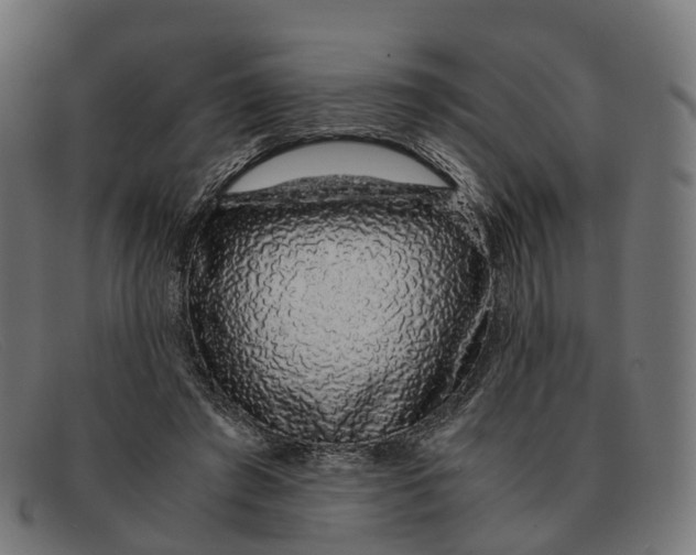 X0000091490401200709131834