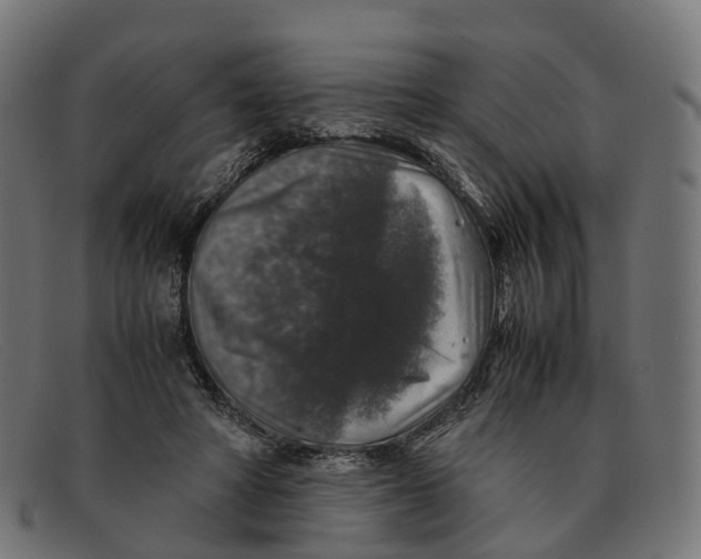 X0000091490402200709131834