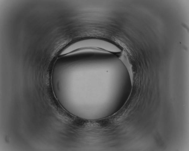 X0000091490403200709131834