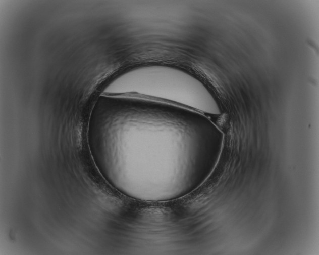 X0000091490404200709131834
