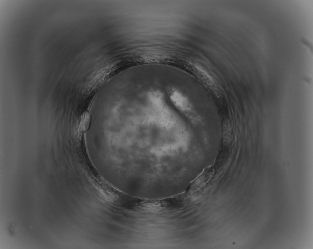 X0000091490405200709131834