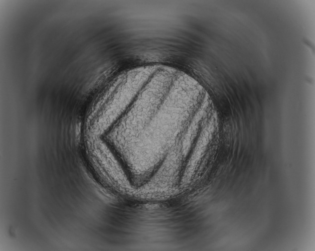 X0000091490406200709131834