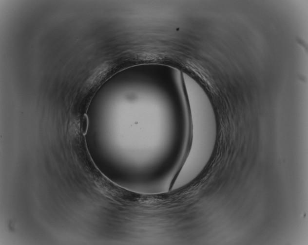 X0000091490407200709131834