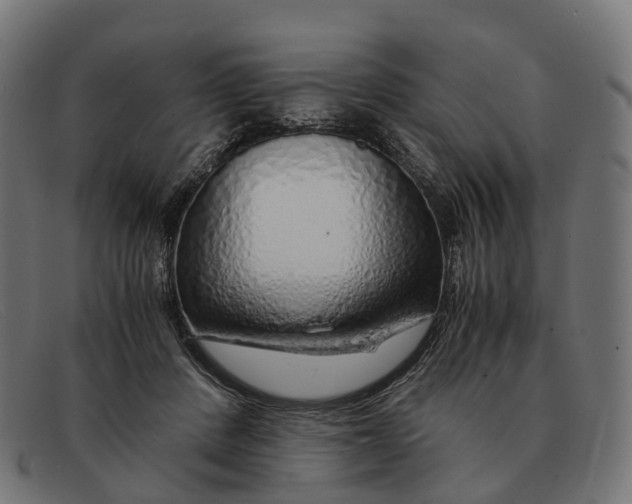 X0000091490408200709131834