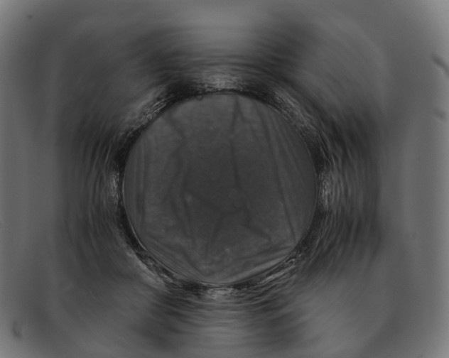 X0000091490410200709131834