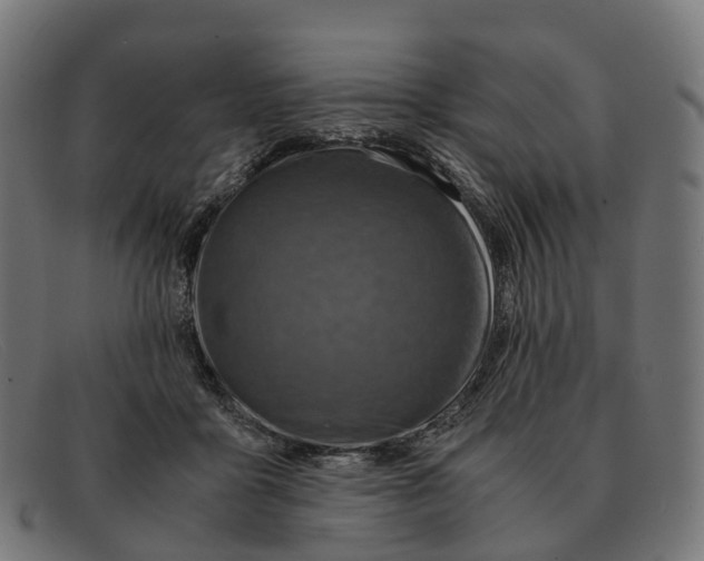 X0000091490411200709131834