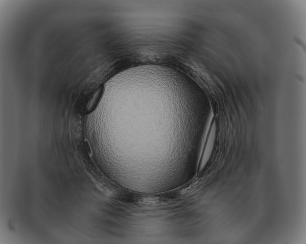 X0000091490413200709131834