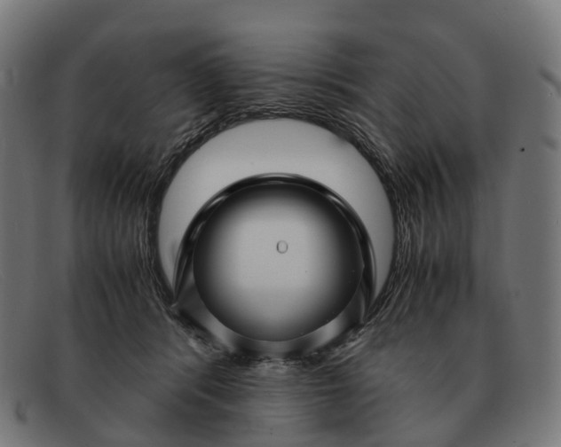 X0000091490416200709131834