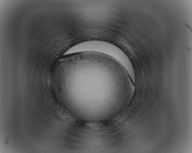 X0000091490417200709131834