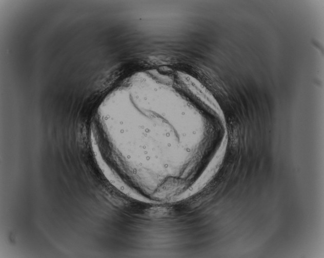 X0000091490418200709131834