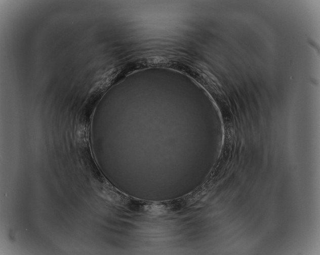 X0000091490419200709131834