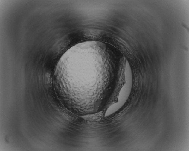 X0000091490420200709131834