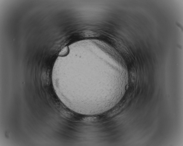 X0000091490422200709131834