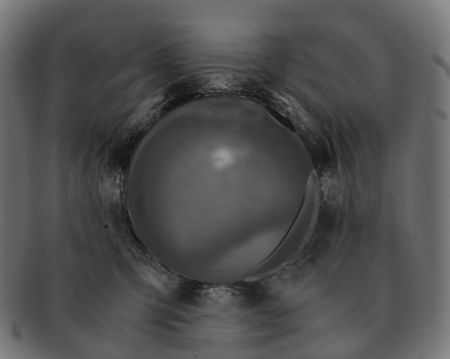 X0000091490423200709131834