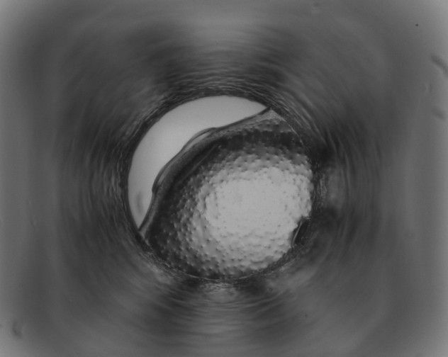 X0000091490424200709131834