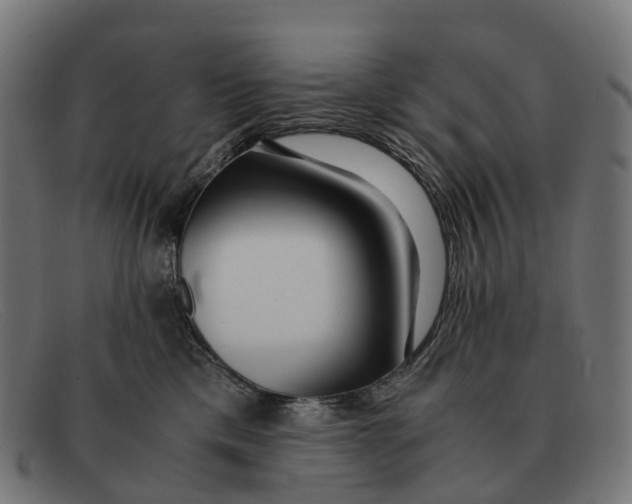 X0000091490425200709131834