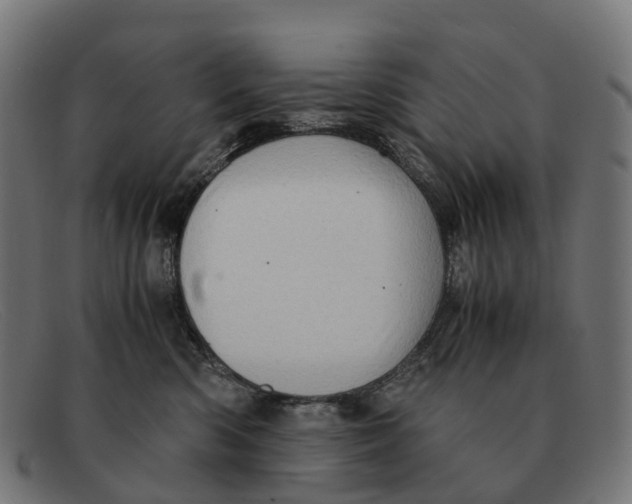 X0000091490426200709131834