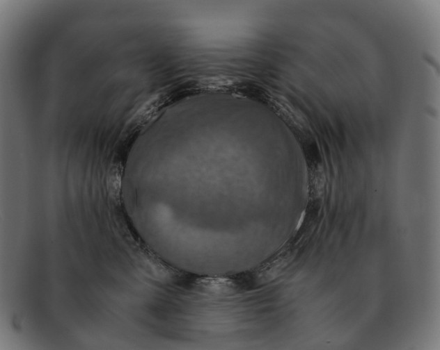 X0000091490427200709131834