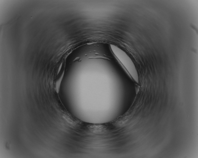 X0000091490428200709131834