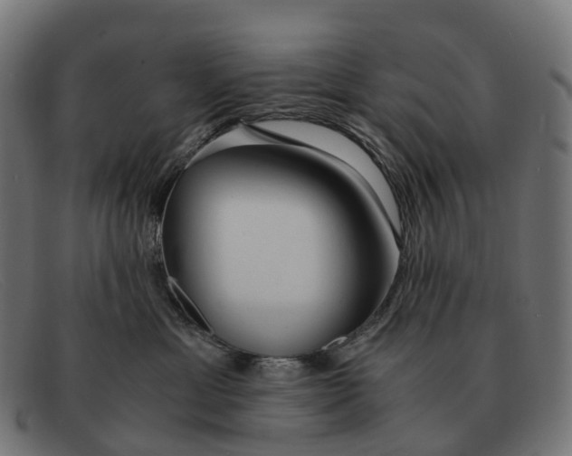 X0000091490429200709131834
