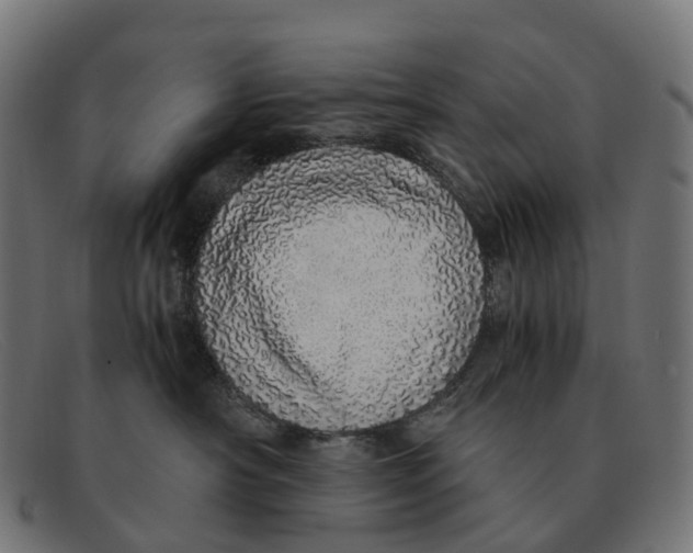 X0000091490430200709131834