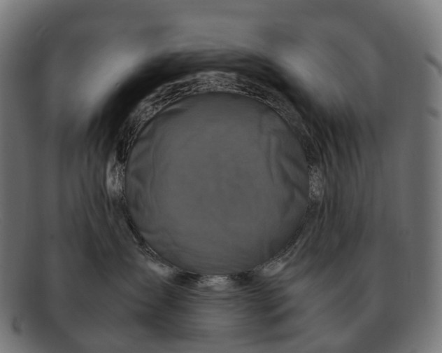 X0000091490431200709131834