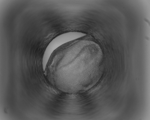 X0000091490432200709131834