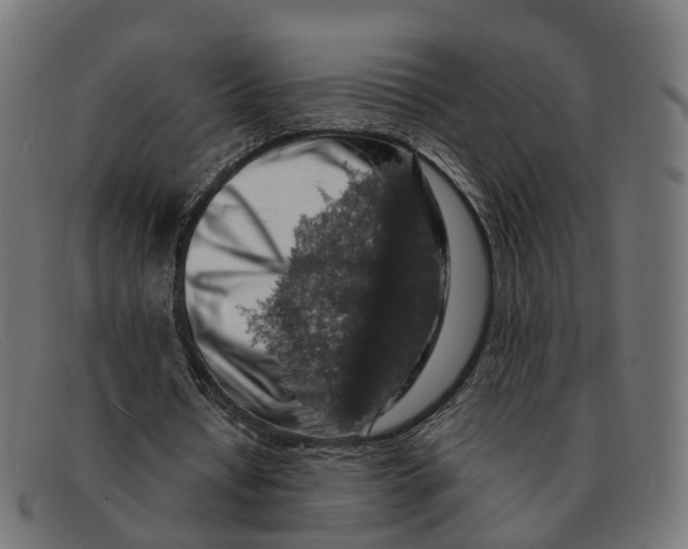 X0000091490434200709131833