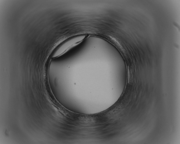 X0000091490435200709131833