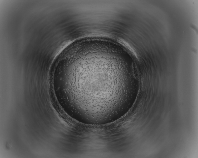 X0000091490436200709131833